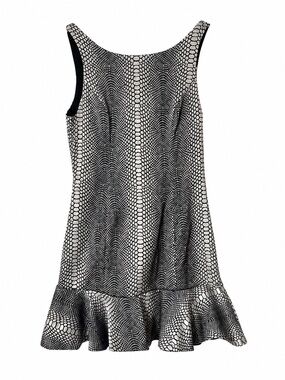 Ladakh Black and Silver Snake-Print Mini Dress with Front Zip